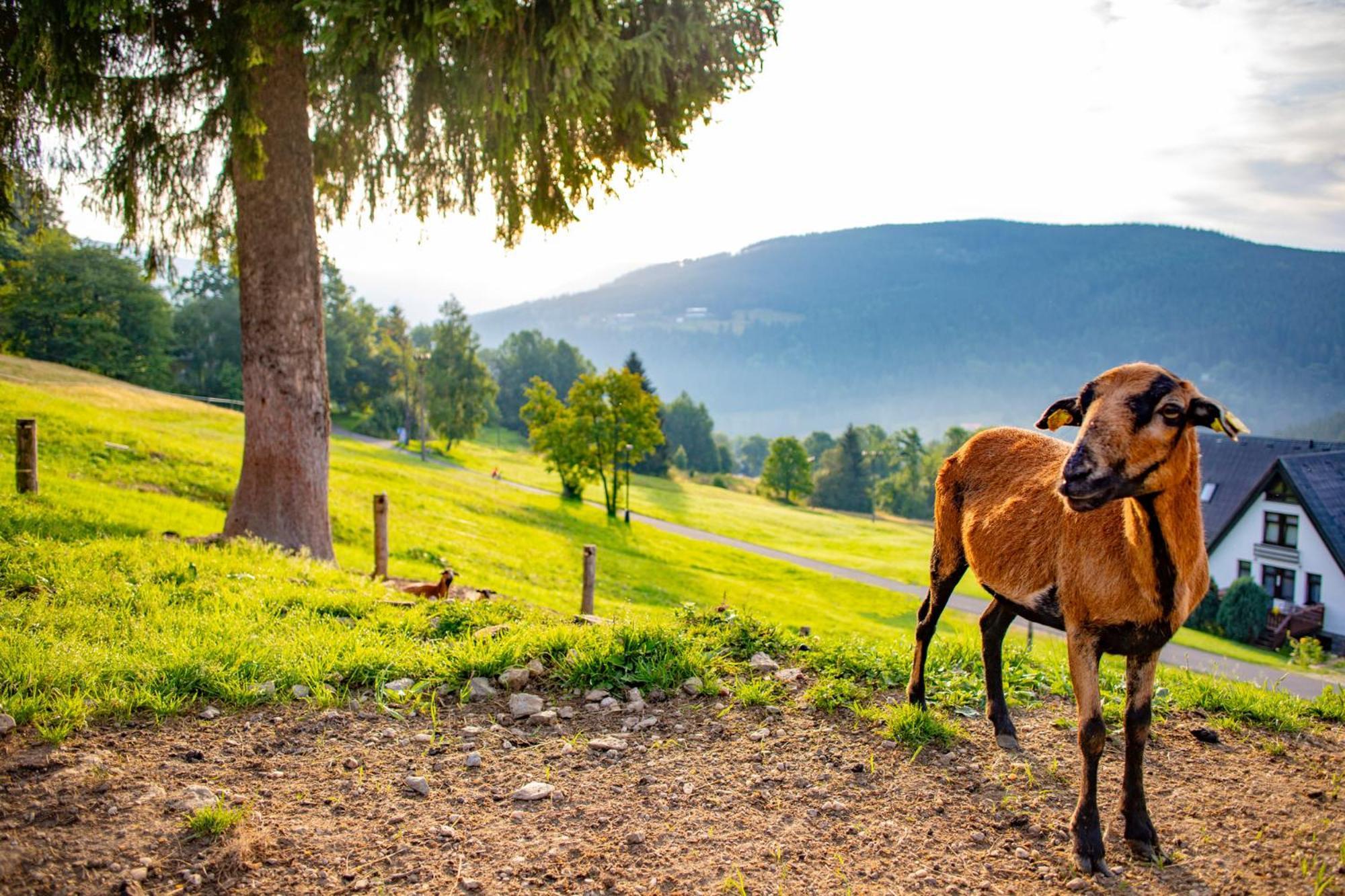Amenity Hotel & Resort Špindlerŭv Mlýn מראה חיצוני תמונה