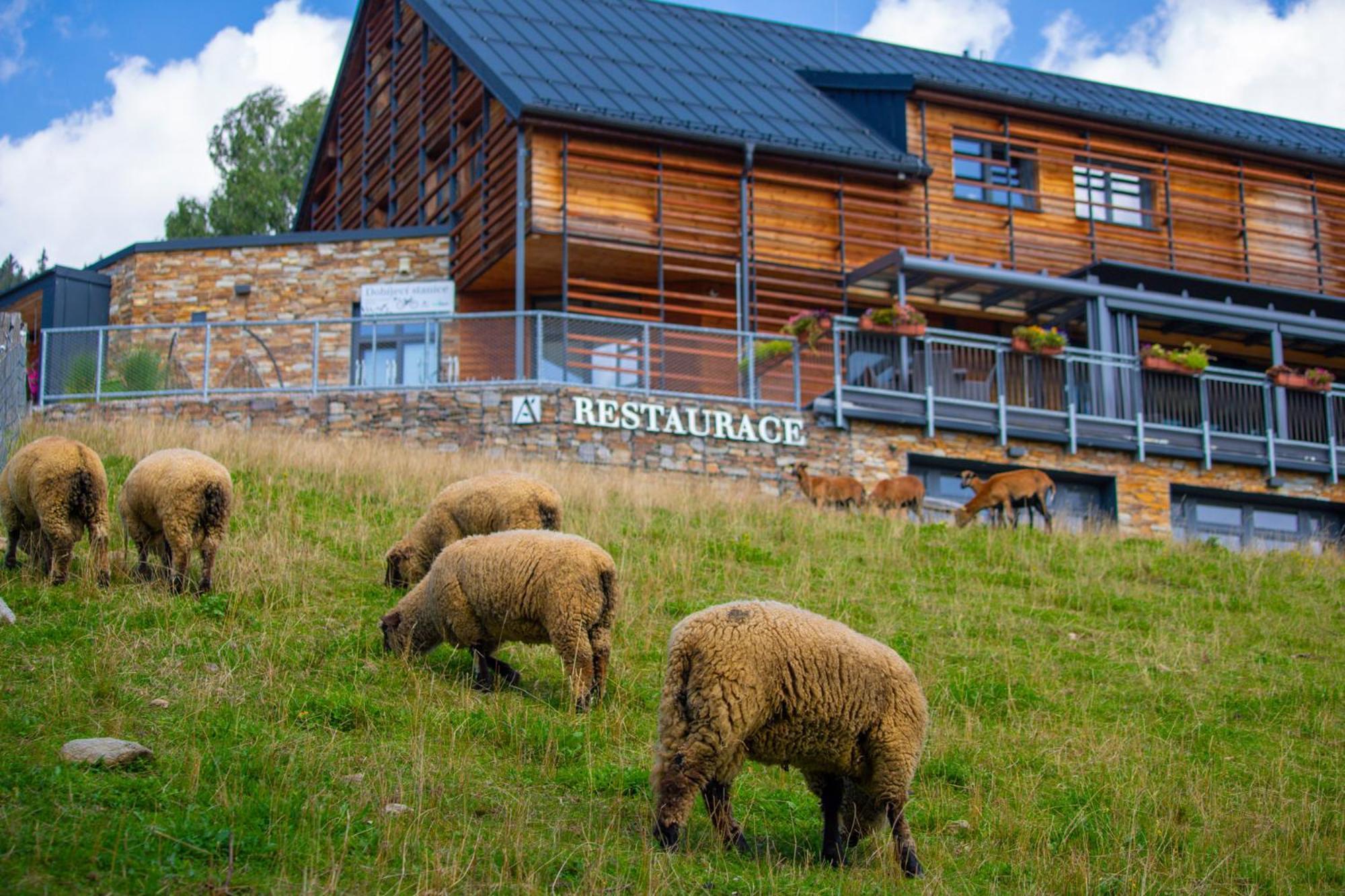 Amenity Hotel & Resort Špindlerŭv Mlýn מראה חיצוני תמונה