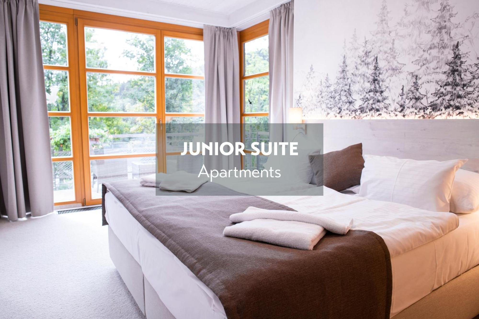 Amenity Hotel & Resort Špindlerŭv Mlýn מראה חיצוני תמונה
